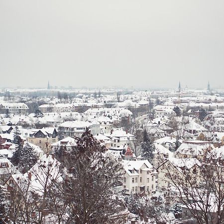 Bergwirtschaft Wilder Mann Hotel Und Restaurant Dresda Esterno foto